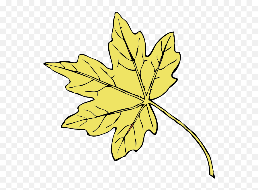Gold Maple Leaf Transparent Cartoon - Jingfm Autumn Leaf Png Black And White,Maple Leaf Transparent