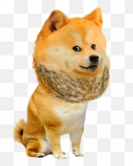 Le Chonker Has Arrived - Doge png