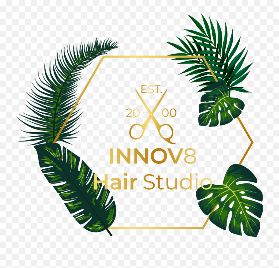 Innov8 Icon Innov8hair - Vertical Png,Icon Studio For Hair