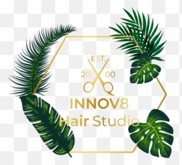 Innov8 Icon Innov8hair - Vertical png