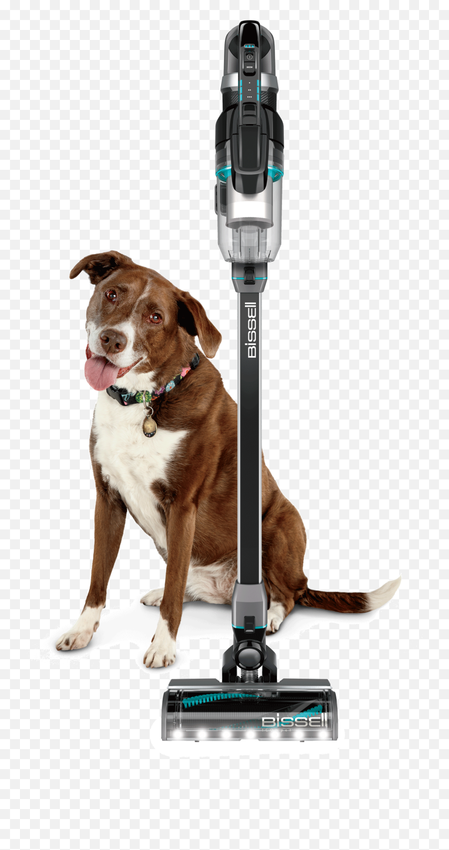 Bissell Cordless Vacuum - Martingale Png,Lol Cat/dog Icon