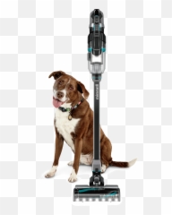 Bissell Cordless Vacuum - Martingale Png,Lol Cat/dog Icon