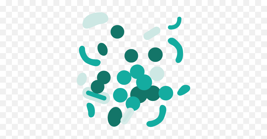 Your Gut Flora Determines Well - Being U0026 Health Biomes Dot Png,Intestine Icon