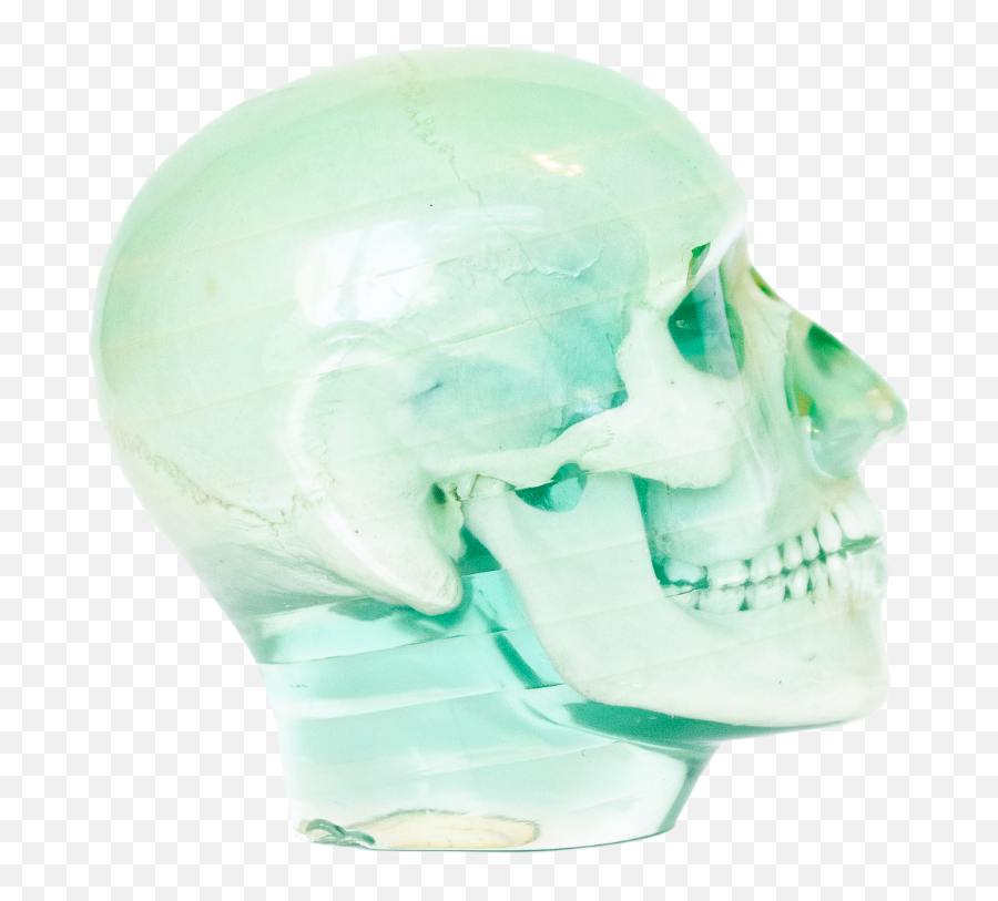 Shop By Category Jonsbones Responsibly Sourced Human - Scary Png,Icon Skulls