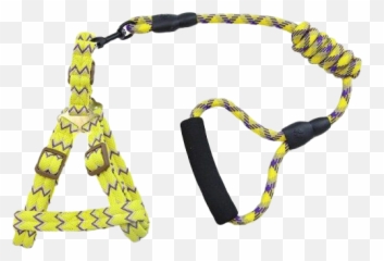 Gold Dog Chain Png Image All - Skipping Rope