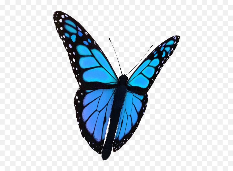 My Mental Health Journey - Transparent Butterfly Gif Png,Life Is Strange Butterfly Icon
