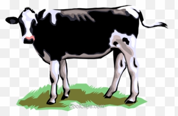 Dairy Cow Royalty Free Vector Clip Art Illustration - Png Clipart Cartoon Cow Png,Vaca Png