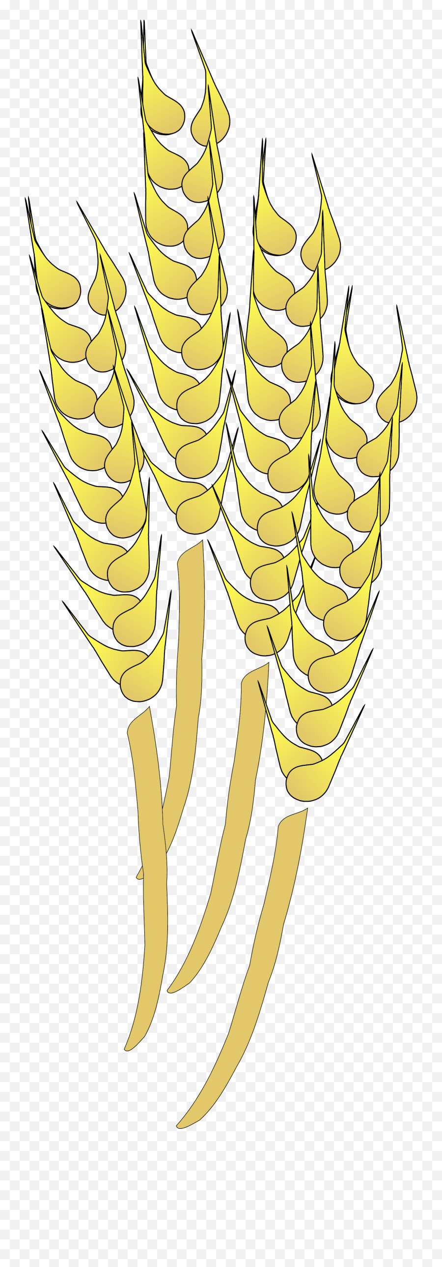 Wheat Svg Vector Clip Art - Svg Clipart Whole Grain Clip Art Png,Wheat Icon Vector