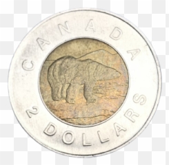 Quick Pick Magic Precision Made - Quarter png