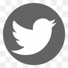 Rotten Citizens - Circle Facebook And Twitter Icon png