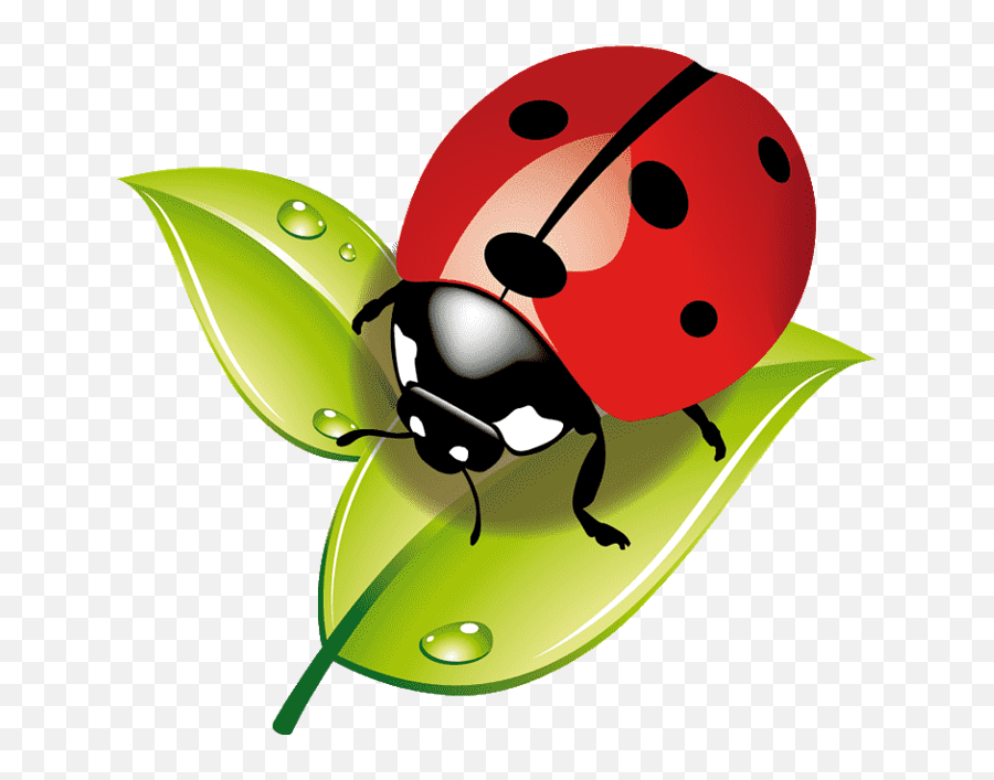 Mariquita Pon By Thj - Dessin Coccinelle Sur Une Feuille Png,Ladybug Icon Leaf