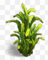 Knights And Brides Wiki - Hornwort Png,Algae Png