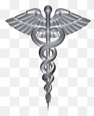 Medical Clip Emblem Transparent U0026 Png Clipart Free Download - Free Health Care Transparent,Caduceus Transparent Background