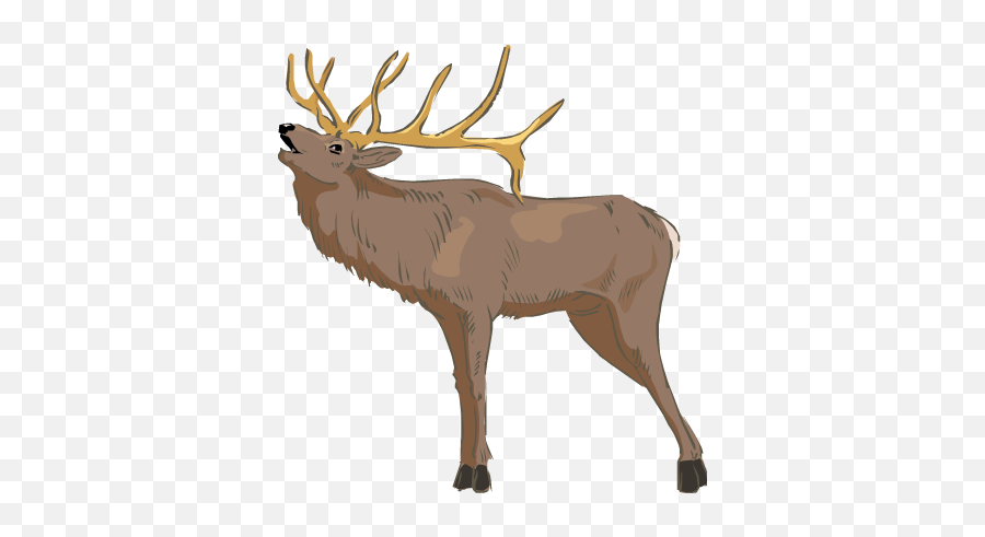 Download Hd Deer Moose Elk And - Cartoon Elk Transparent Png,Caribou Png