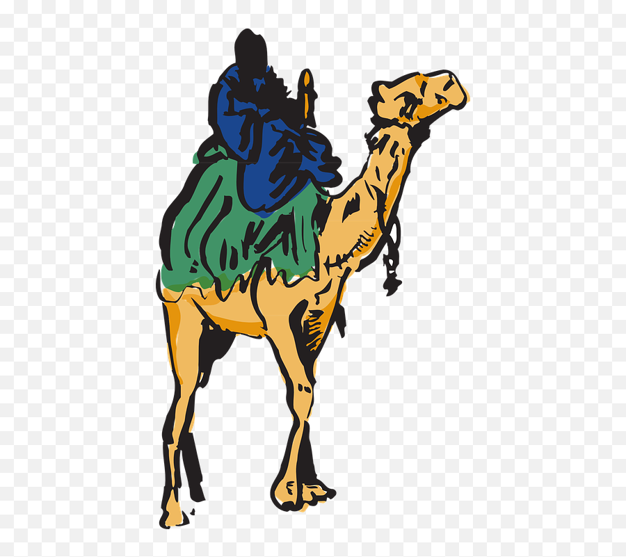 Camel Man Riding - Free Vector Graphic On Pixabay Clipart Transparent Png Man Riding Camel,Camel Png