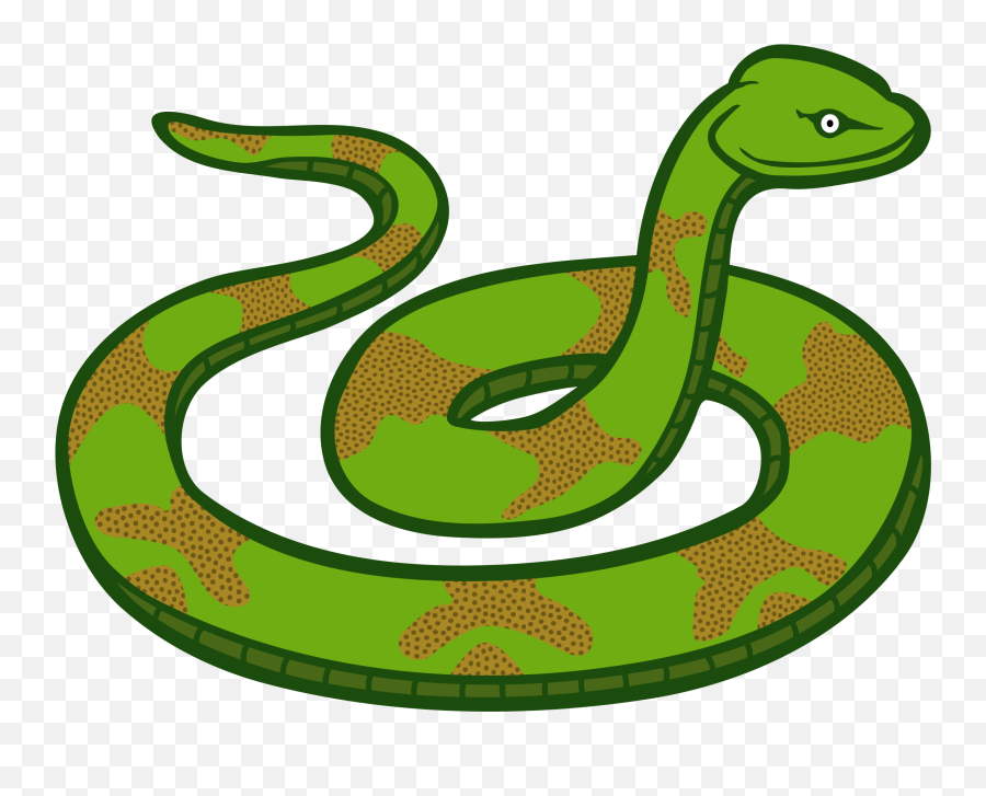 Snake Clip Art - Anaconda Png Download 33384822 Free Clip Art Snake,Anaconda Png