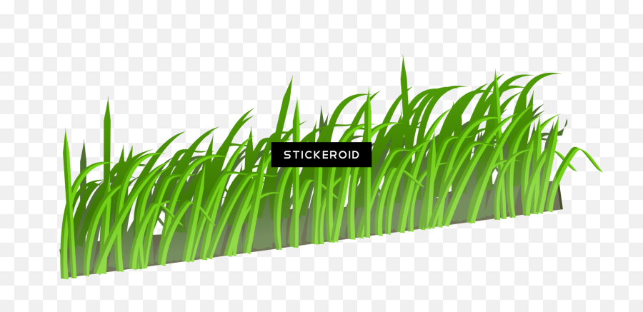 Grass Green Nature - Cartoon Transparent Grass Png,Grass Field Png