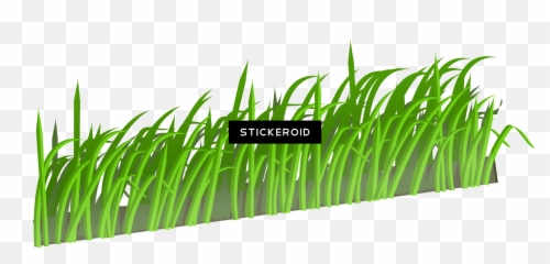 Grass Green Nature - Cartoon Transparent Grass Png,Grass Field Png