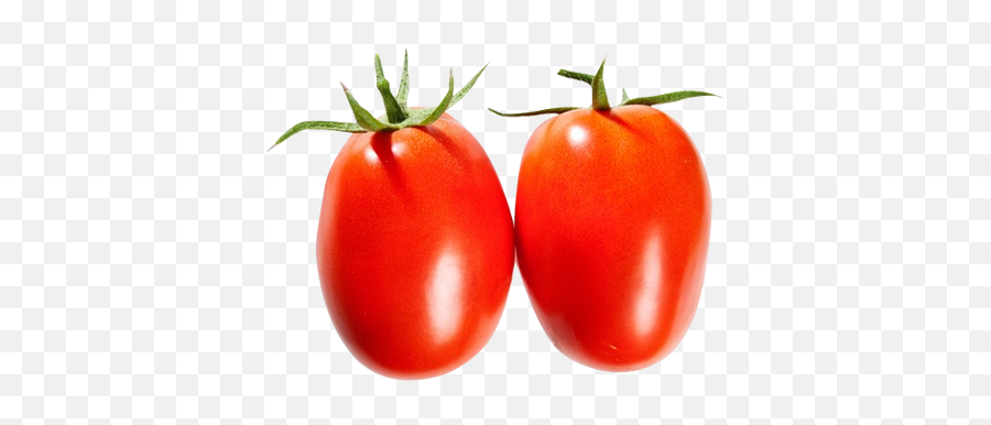 Tomatoe Fresco Farms Png