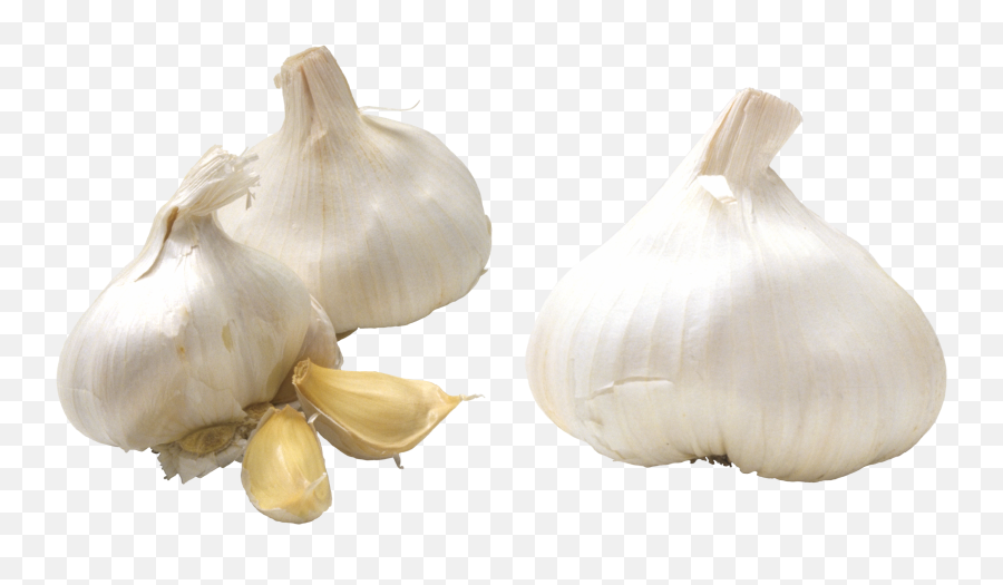 Garlic Png Transparent Background