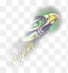 Download Seattle Rickallan Kewl Seahawks Seahawk - Bird Png,Marshawn Lynch Png