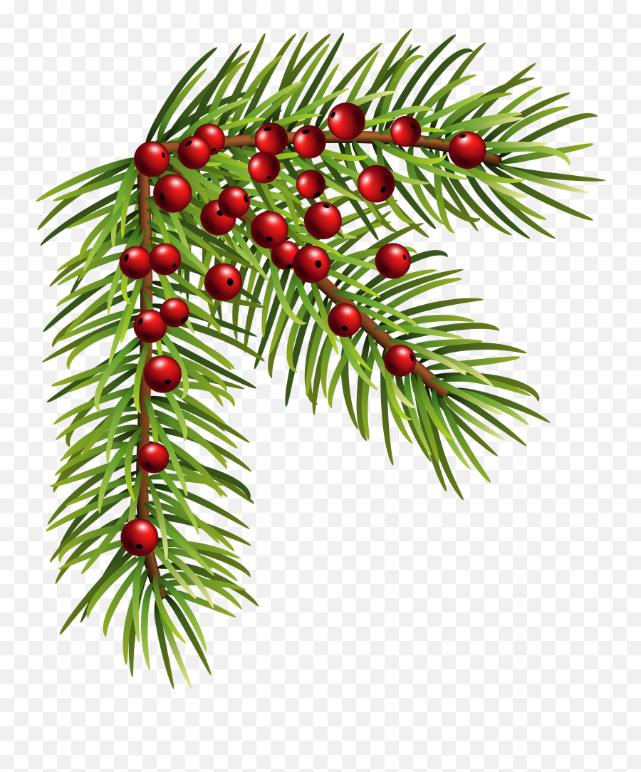 Christmas Pine Corner Png Clip Art Image - Christmas Transparent Christmas Pine Clipart,Christmas Transparent Background