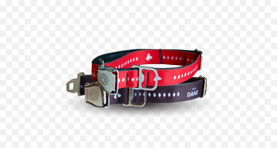 Great Dane Dog Collar - Unisex Png,Dog Collar Png