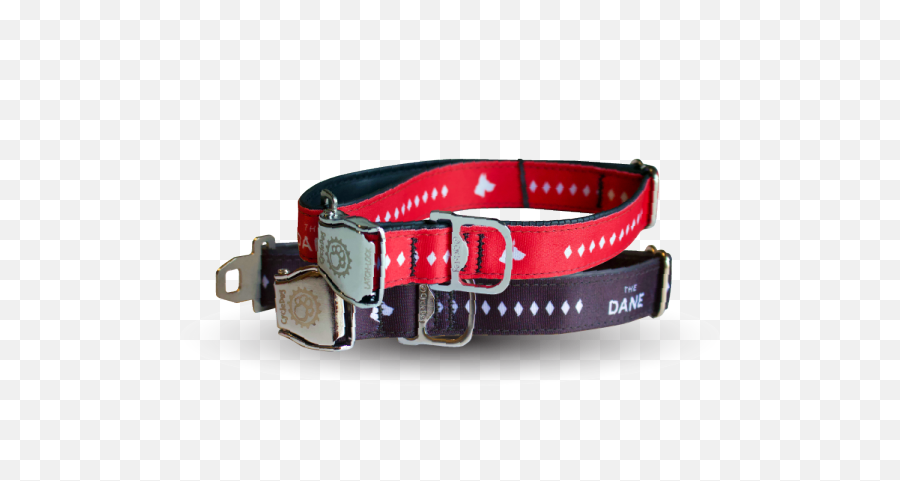 Great Dane Dog Collar - Unisex Png,Dog Collar Png Great Dane Dog Collar - Unisex Png,Dog Collar Png