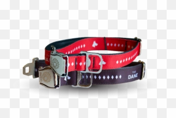 Great Dane Dog Collar - Unisex Png,Dog Collar Png