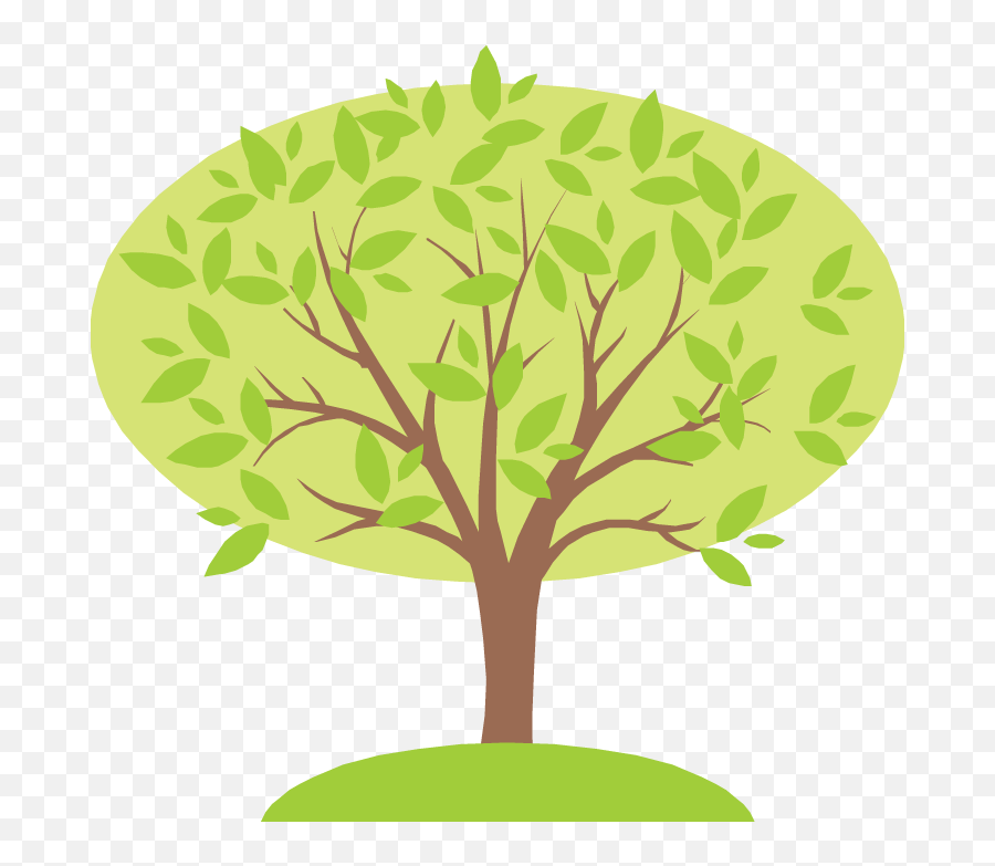 Family Tree - Family Tree For 4 Png,Family Tree Png