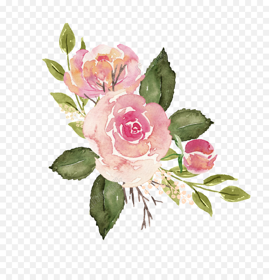 Download Free Png Pin By Janet Lin - Watercolor Pink Flower Transparent,Watercolor Flower Png