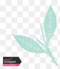 Tea In The Garden Leaf Stamp Graphic By Jessica Dunn - Herbal png