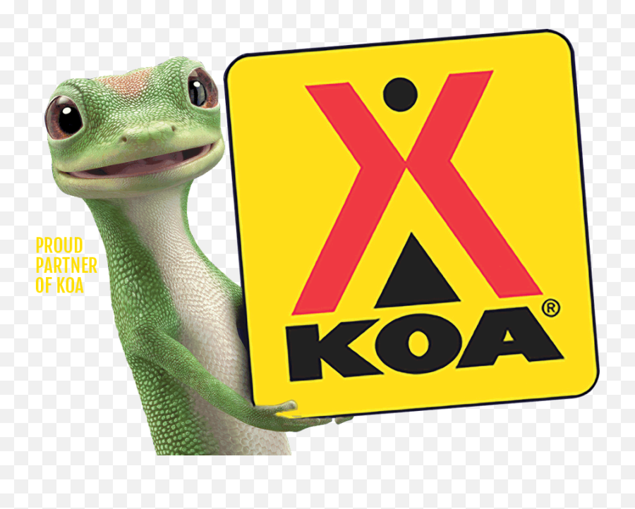 Geico Car Insurance Quote - Koa Gift Card Online Png,Geico Gecko Png