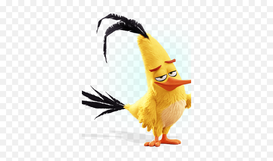 Chuck The Angry Birds Movie Heroes And Villians Wiki - Chuck From Angry Birds Png,Angry Bird Png