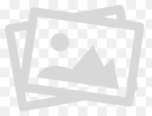 Billie Eilish From - girl to Icon The Unofficial Biography Infographic png