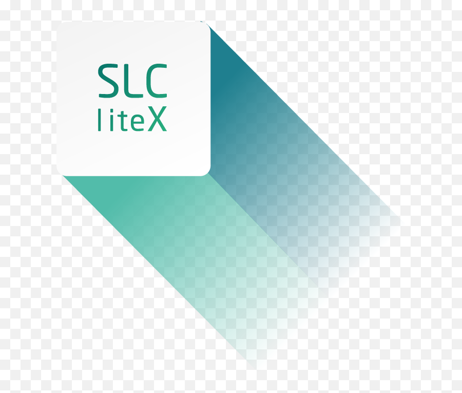 Slc - Litex Technology Apacer For Industrial U2013 Leader In Png,Ussd Icon