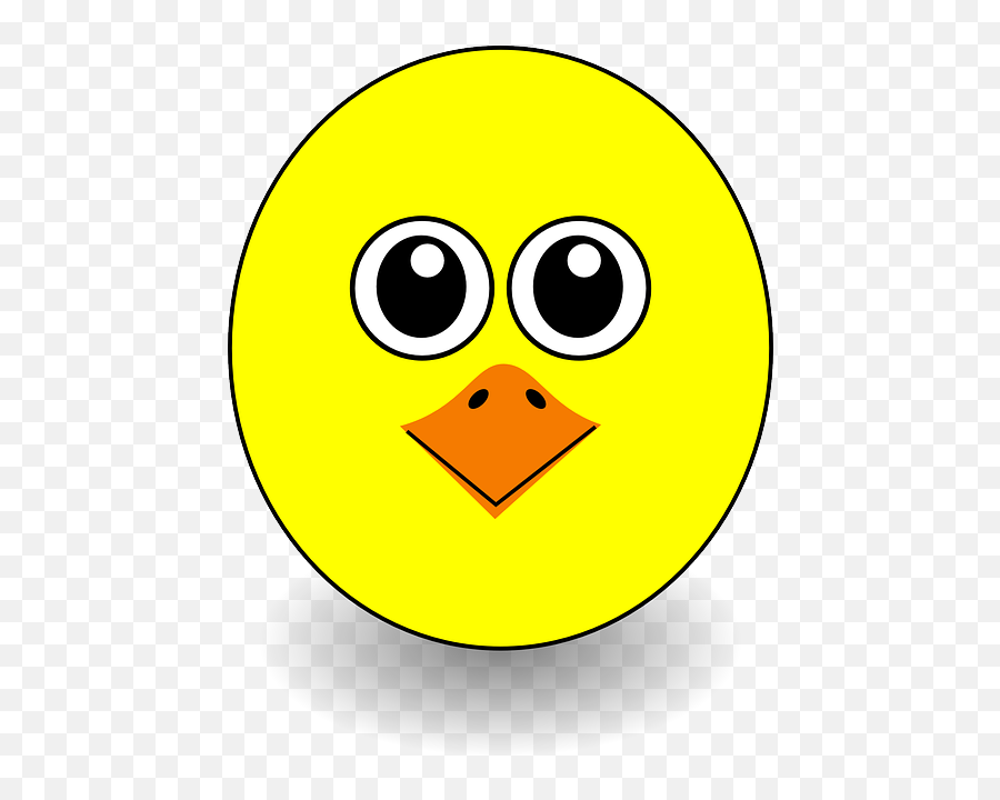 Chick Fledgling Poult - Free Vector Graphic On Pixabay Chick Face Cartoon Png,Gimp Icon Png