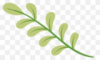 Plant Sticker By Colvin For Ios U0026 Android Giphy - Green Aesthetic Icon Gif png