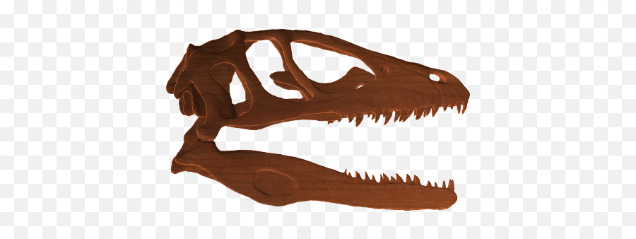 Dinosaur Skull Png 1 Image - American Crocodile,Dinosaur Skull Png