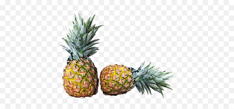 30 Free Cut Pineapple U0026 Images - Hd Fruit Image Png Ananas,Pineapple Slice Icon