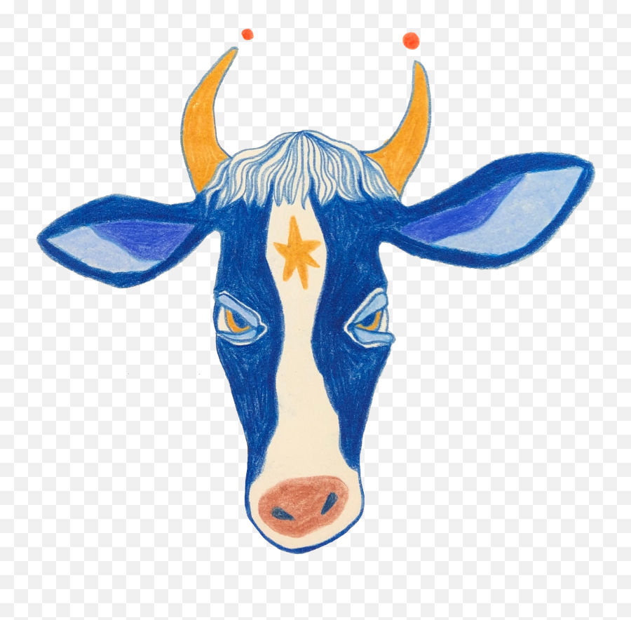 Home Carina - Cow Png,Cow Face Icon