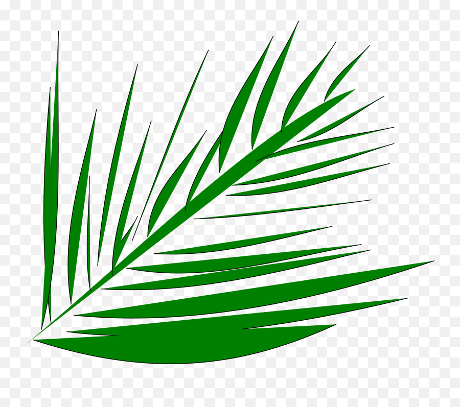 Download Big Image - Palm Leaves Transparent Clipart Full Palm Trees Clip Art Branches Png,Palm Leaves Transparent