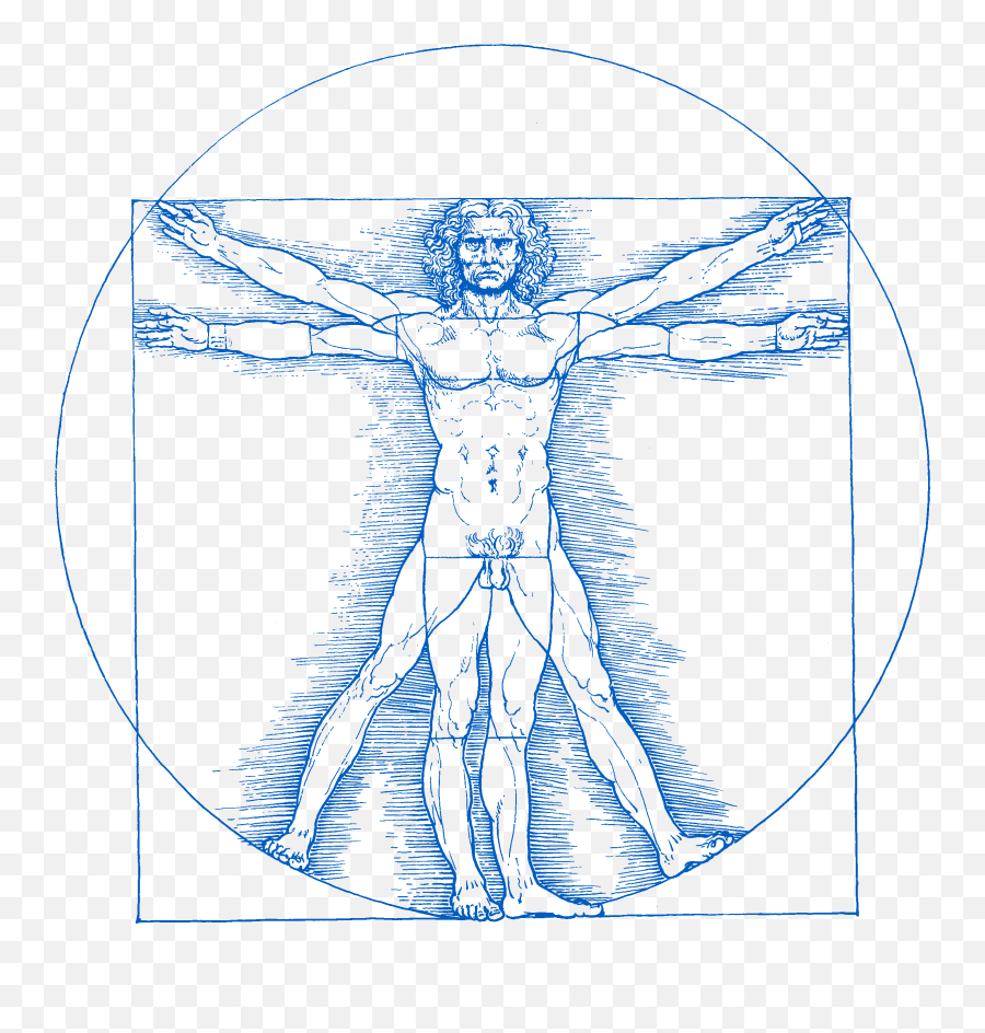 Leonardo Da Vinci - Leonardo Da Vinci A Scientist Png,Vitruvian Man Png