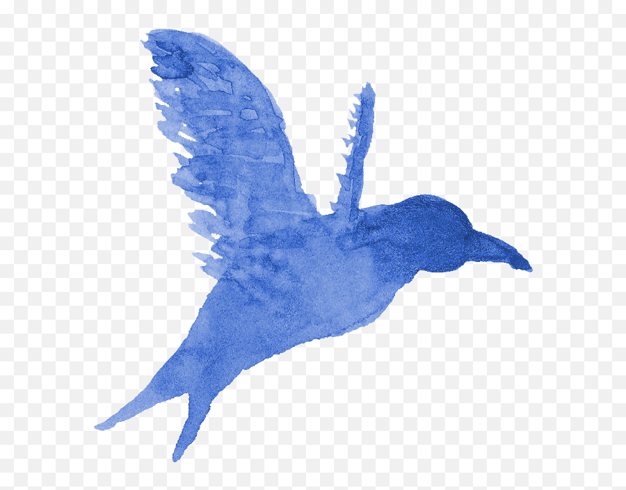 13 Watercolor Bird Silhouette Png Transparent Onlygfxcom - Bird Paint Png,Blue Bird Png