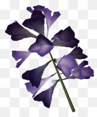 Plantain Lily Flower - Official Green Hell Wiki Rose png
