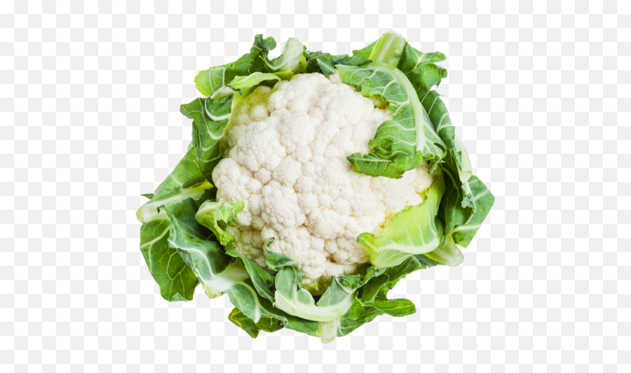 Cauliflower - Blumenkohl Png,Cauliflower Png