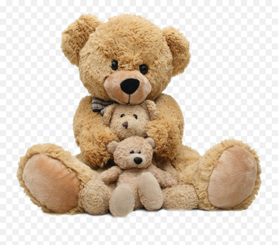 Teddy Bear Vector Png - Teddy Bear Png Download Png Image Teddy Bear Transparent Background Png,Bear Transparent Background