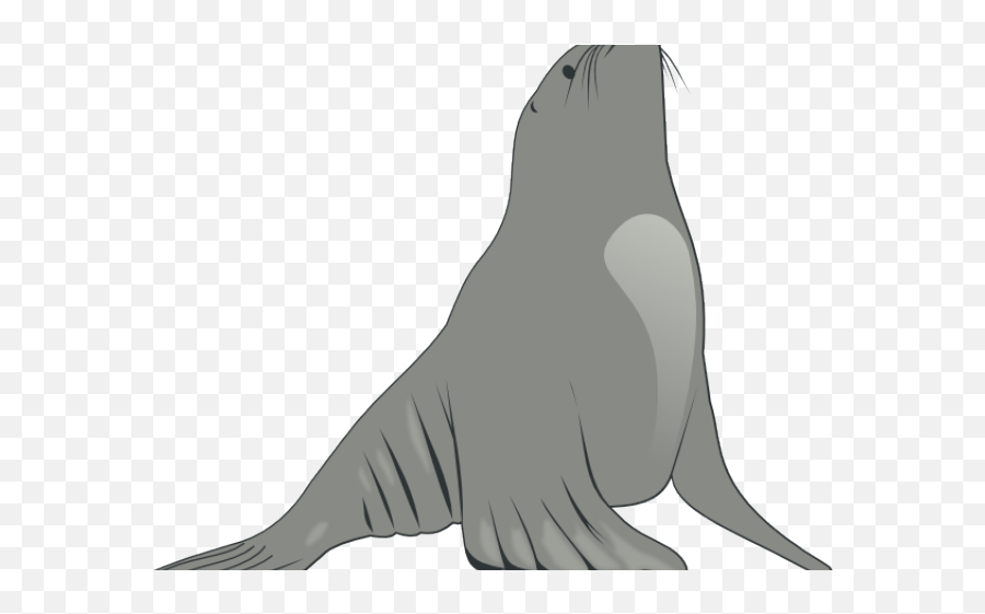 Seal Animal Png - Sea Lion Cartoon,Lion Clipart Png