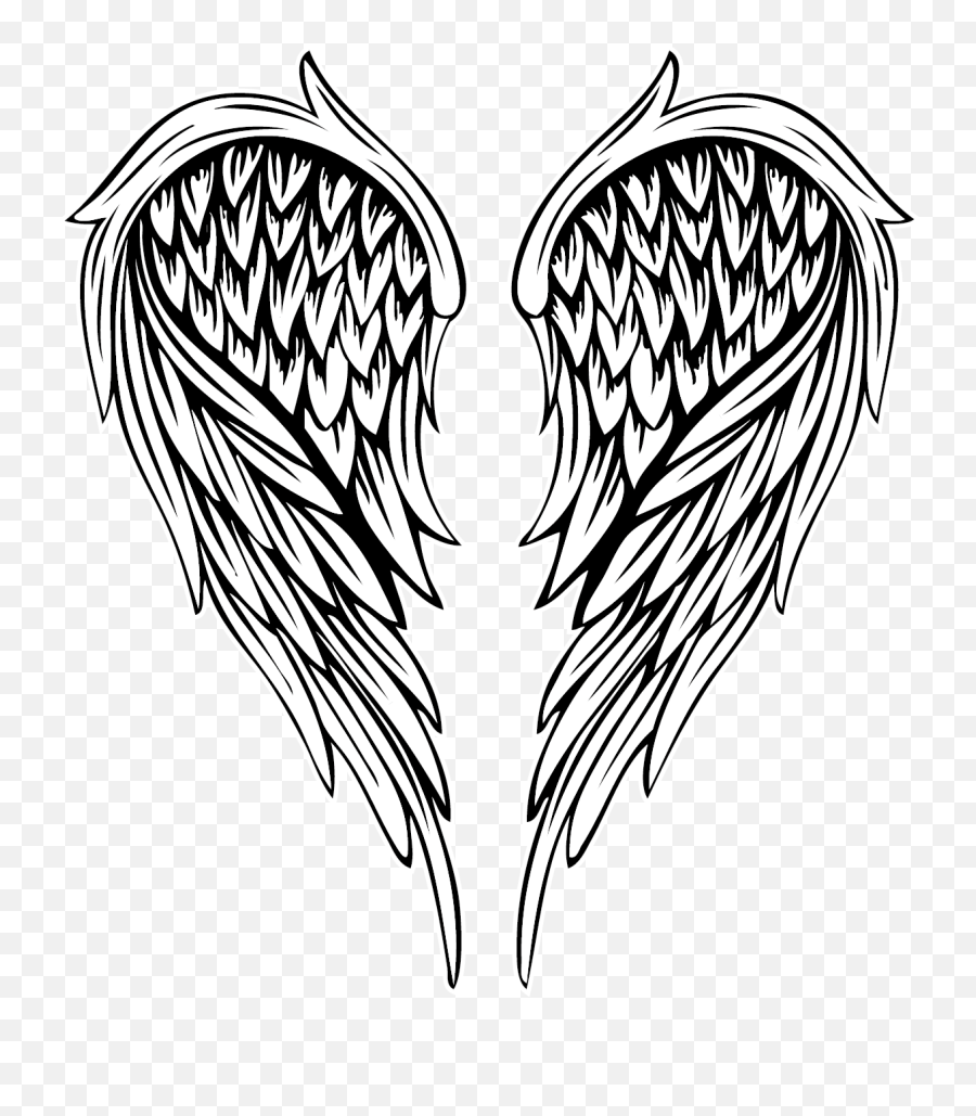 angel wings wrapped around drawing