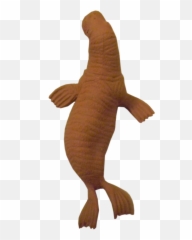 Download Walrus Png Transparent Picture - Plush,Walrus Png